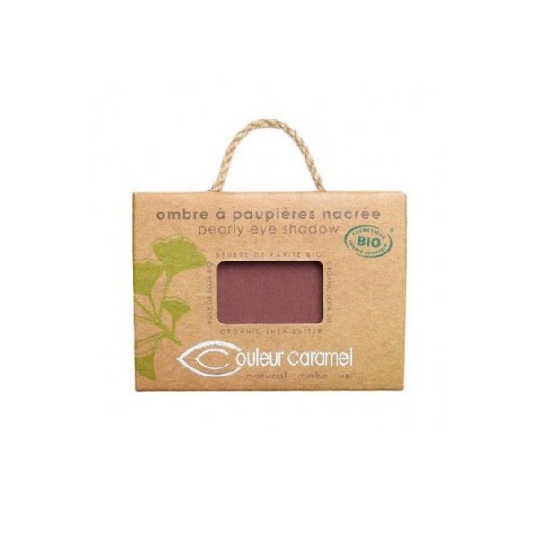 Couleur caramel maquillaje sombra de ojos 099 pepite cuivree 1un